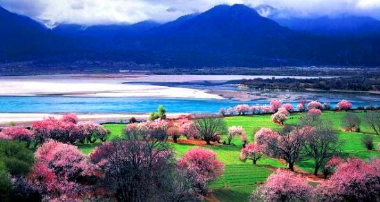 雪域高原西藏的千年时光之旅