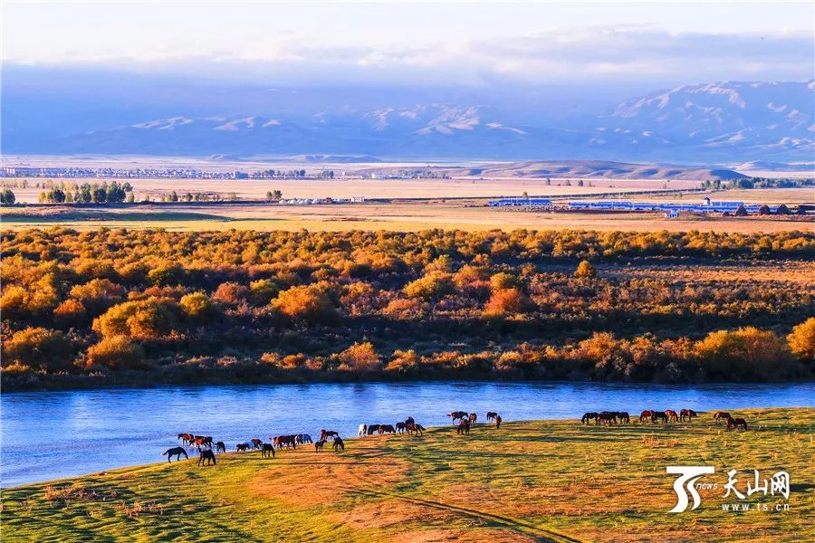 西域新疆，行吟之旅